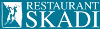 Skadi logo
