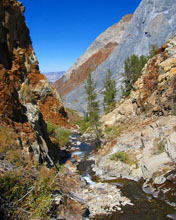 image_9